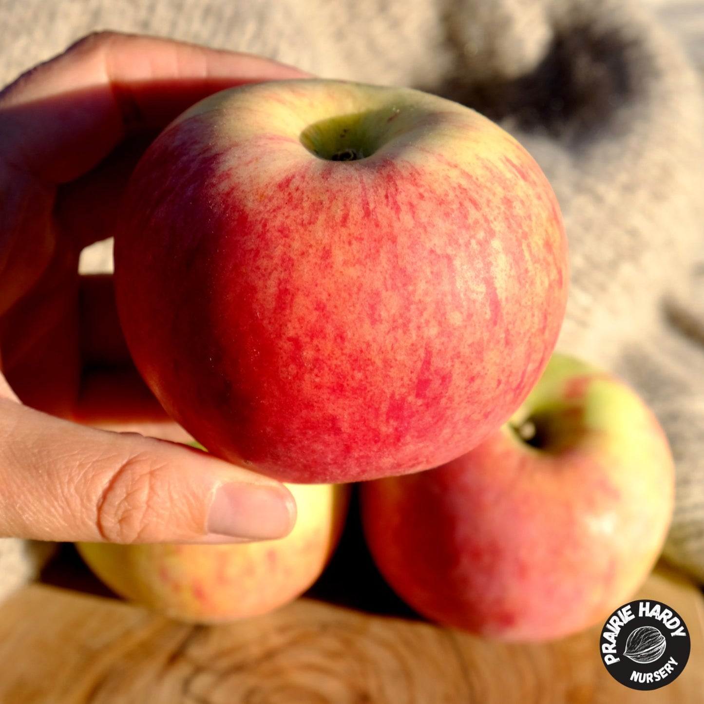 Goodland Apple
