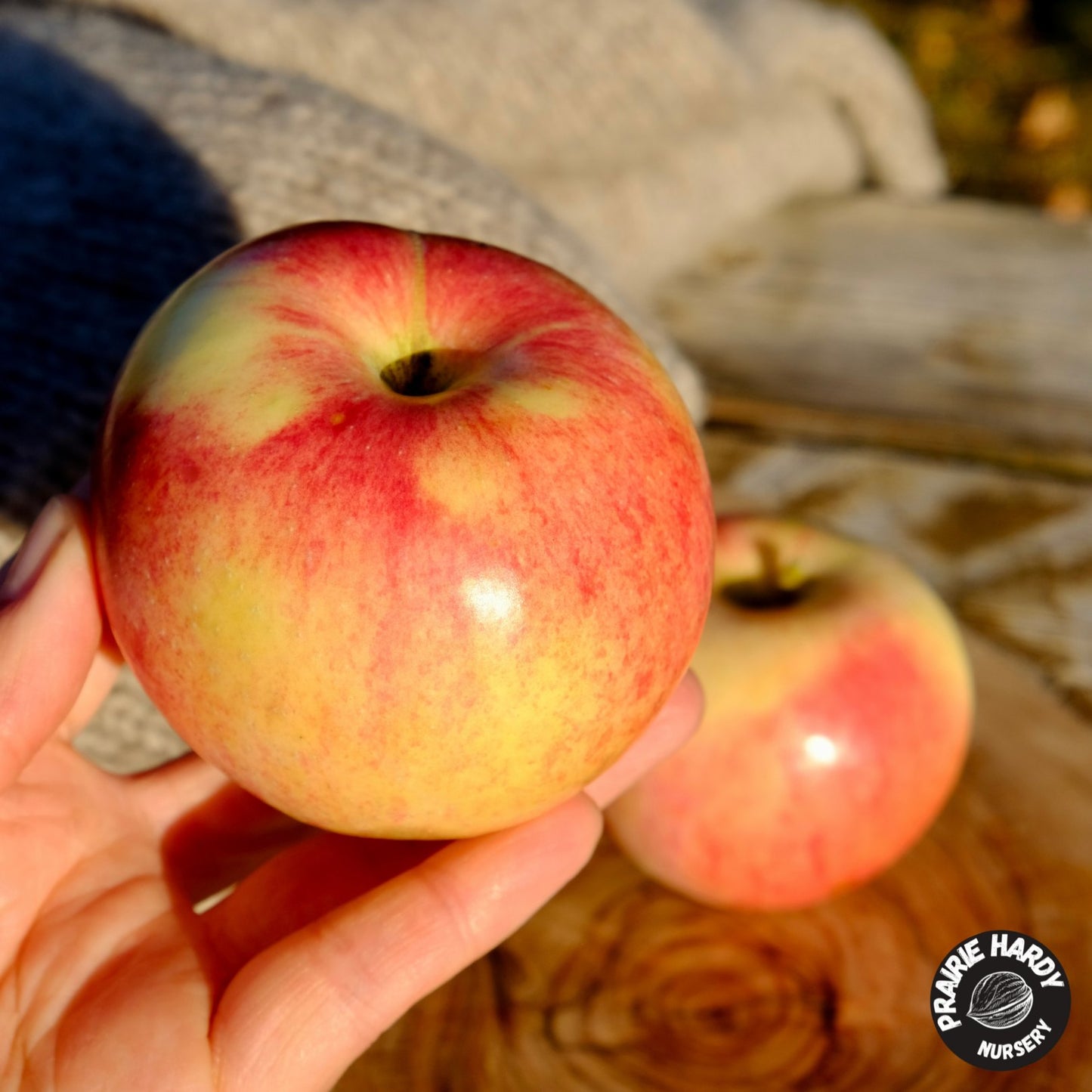 Red Sparkle Apple
