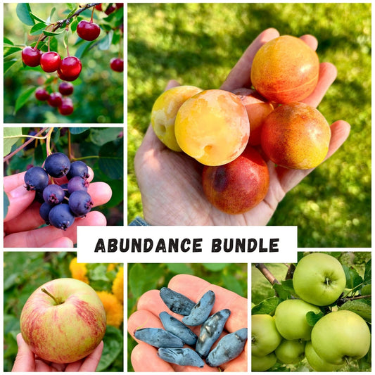 The Prairie Hardy Abundance Bundle
