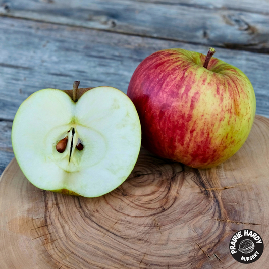 M360 Apple