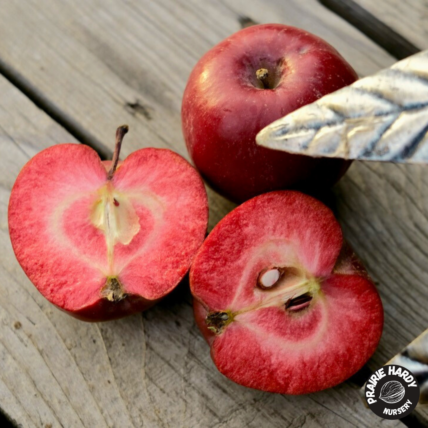 Red Wonder Apple